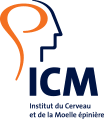 Equipe “Excitabilité cellulaire et Dynamique des Réseaux Neuronaux” (ICM)